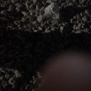 Meet your Posher, Jesse